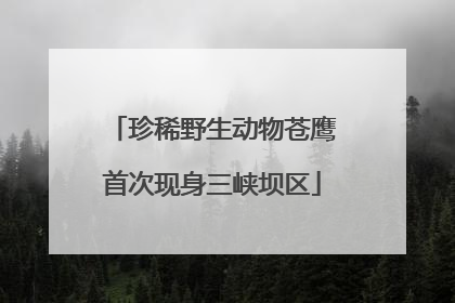 珍稀野生动物苍鹰首次现身三峡坝区
