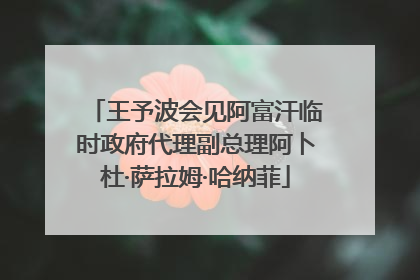 王予波会见阿富汗临时政府代理副总理阿卜杜·萨拉姆·哈纳菲