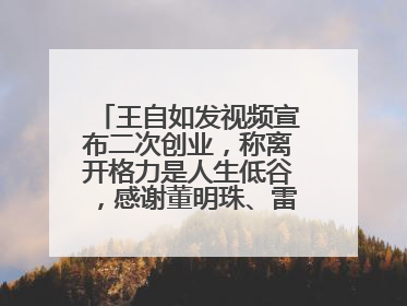王自如发视频宣布二次创业，称离开格力是人生低谷，感谢董明珠、雷军，还回应了“工资条”：清楚自己要什么……