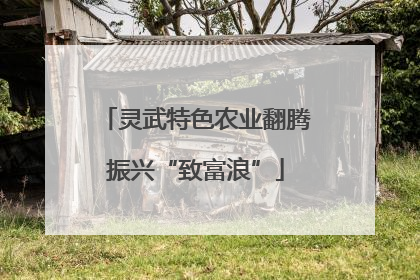 灵武特色农业翻腾振兴“致富浪”