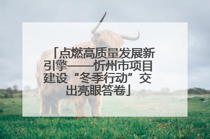 点燃高质量发展新引擎——忻州市项目建设“冬季行动”交出亮眼答卷