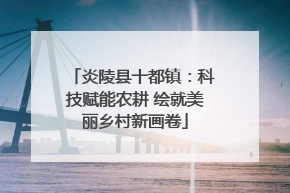 炎陵县十都镇：科技赋能农耕 绘就美丽乡村新画卷