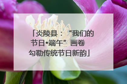 炎陵县：“我们的节日•端午”画卷 勾勒传统节日新韵
