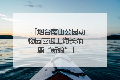 烟台南山公园动物园喜迎上海长颈鹿“新娘”