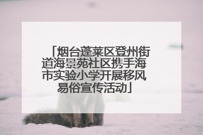 烟台蓬莱区登州街道海景苑社区携手海市实验小学开展移风易俗宣传活动