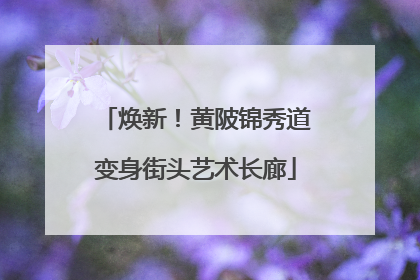 焕新！黄陂锦秀道变身街头艺术长廊