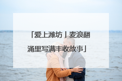 爱上潍坊丨麦浪翻涌里写满丰收故事