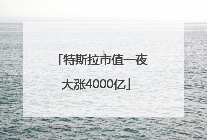 特斯拉市值一夜大涨4000亿