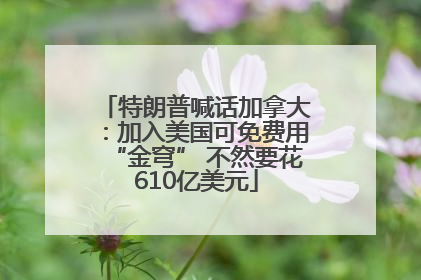 特朗普喊话加拿大：加入美国可免费用“金穹” 不然要花610亿美元