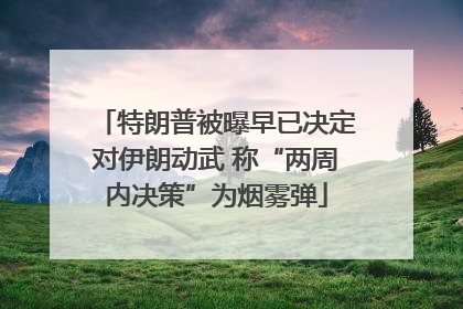 特朗普被曝早已决定对伊朗动武 称“两周内决策”为烟雾弹