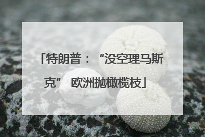 特朗普：“没空理马斯克” 欧洲抛橄榄枝