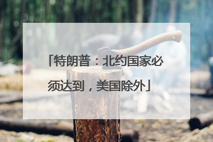 特朗普：北约国家必须达到，美国除外