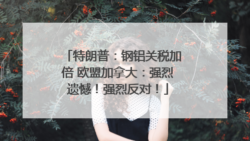 特朗普：钢铝关税加倍 欧盟加拿大：强烈遗憾！强烈反对！