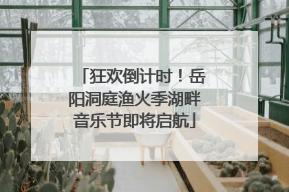 狂欢倒计时！岳阳洞庭渔火季湖畔音乐节即将启航
