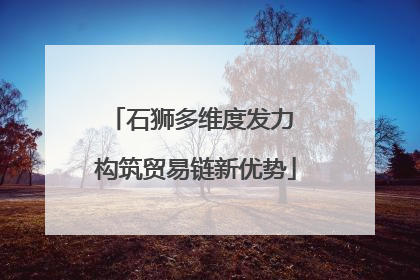 石狮多维度发力 构筑贸易链新优势