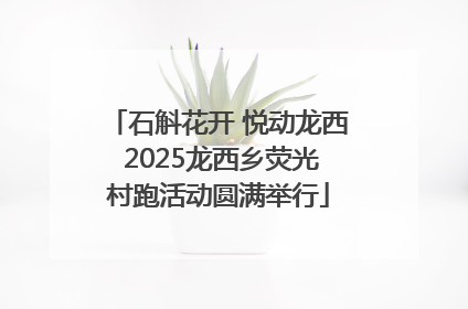 石斛花开 悦动龙西 2025龙西乡荧光村跑活动圆满举行