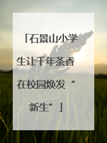 石景山小学生让千年茶香在校园焕发“新生”