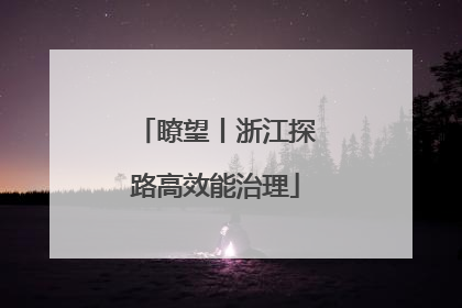 瞭望丨浙江探路高效能治理