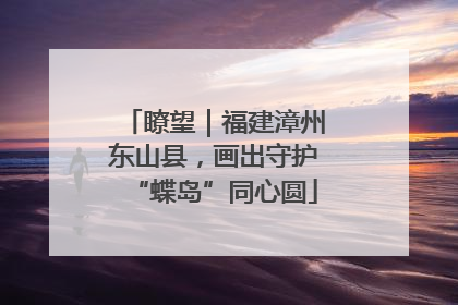 瞭望｜福建漳州东山县，画出守护“蝶岛”同心圆