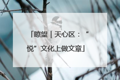 瞭望｜天心区：“悦”文化上做文章