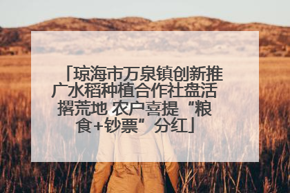 琼海市万泉镇创新推广水稻种植合作社盘活撂荒地 农户喜提“粮食+钞票”分红
