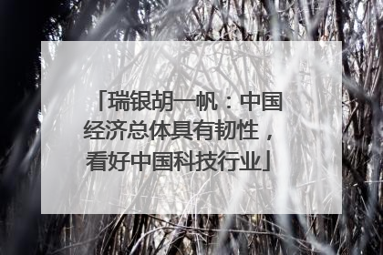 瑞银胡一帆：中国经济总体具有韧性，看好中国科技行业