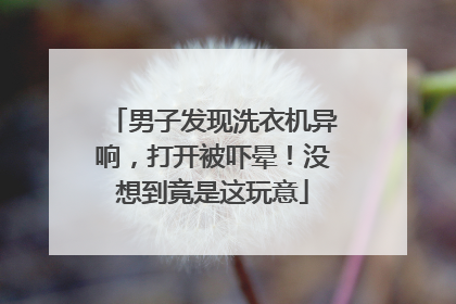 男子发现洗衣机异响，打开被吓晕！没想到竟是这玩意