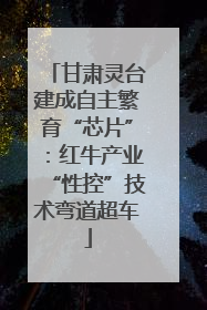 甘肃灵台建成自主繁育“芯片”：红牛产业“性控”技术弯道超车
