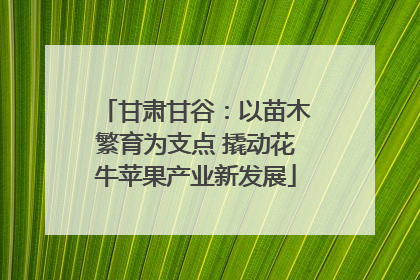 甘肃甘谷：以苗木繁育为支点 撬动花牛苹果产业新发展