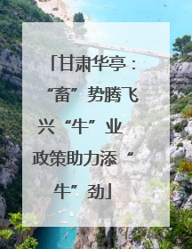 甘肃华亭：“畜”势腾飞兴“牛”业 政策助力添“牛”劲