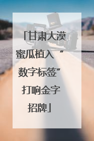 甘肃大漠蜜瓜植入“数字标签” 打响金字招牌