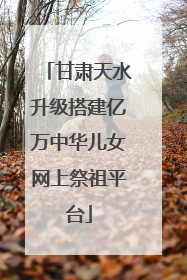 甘肃天水升级搭建亿万中华儿女网上祭祖平台