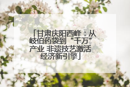 甘肃庆阳西峰：从岐伯药袋到“千万”产业 非遗技艺激活经济新引擎