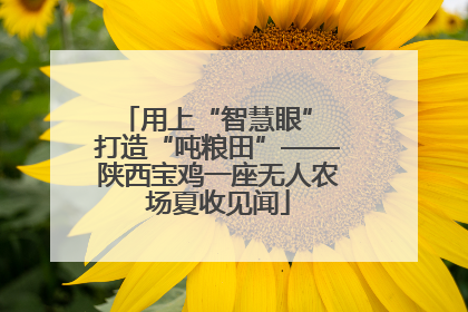 用上“智慧眼” 打造“吨粮田”——陕西宝鸡一座无人农场夏收见闻