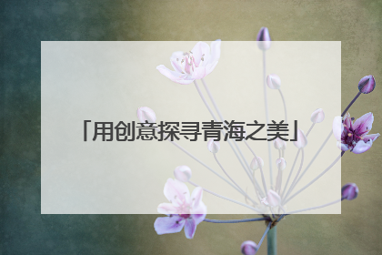 用创意探寻青海之美