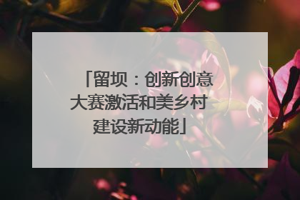 留坝：创新创意大赛激活和美乡村建设新动能
