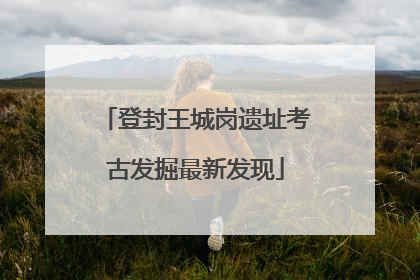登封王城岗遗址考古发掘最新发现