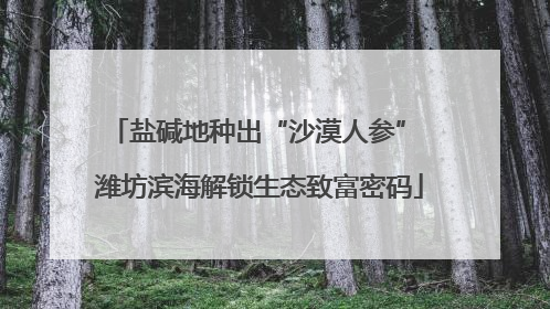 盐碱地种出“沙漠人参” 潍坊滨海解锁生态致富密码