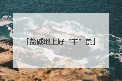盐碱地上好“丰”景