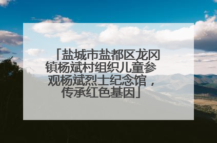 盐城市盐都区龙冈镇杨斌村组织儿童参观杨斌烈士纪念馆，传承红色基因