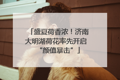 盛夏荷香浓！济南大明湖荷花率先开启“颜值暴击”