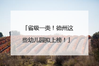 省级一类！德州这些幼儿园拟上榜！
