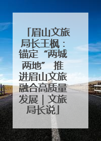 眉山文旅局长王枫：锚定“两城两地” 推进眉山文旅融合高质量发展｜文旅局长说