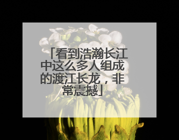 看到浩瀚长江中这么多人组成的渡江长龙，非常震撼