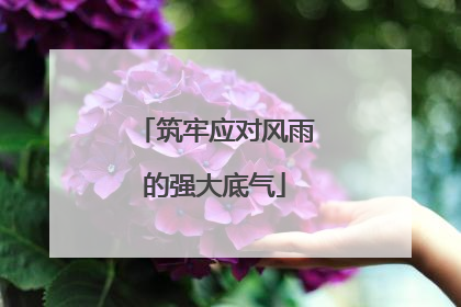 筑牢应对风雨的强大底气