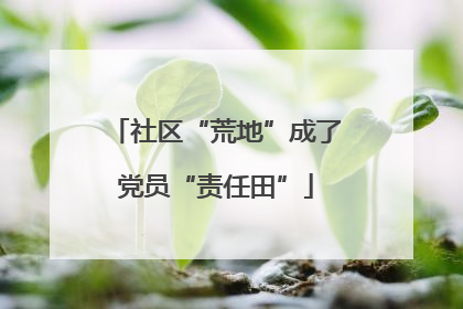 社区“荒地”成了党员“责任田”
