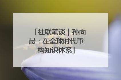 社联笔谈｜孙向晨：在全球时代重构知识体系