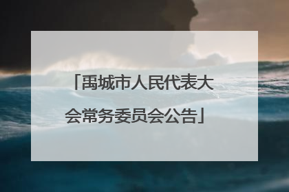禹城市人民代表大会常务委员会公告