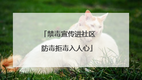 禁毒宣传进社区 防毒拒毒入人心