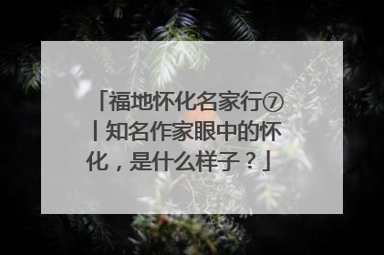 福地怀化名家行⑦丨知名作家眼中的怀化，是什么样子？